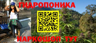 дживик Тверь